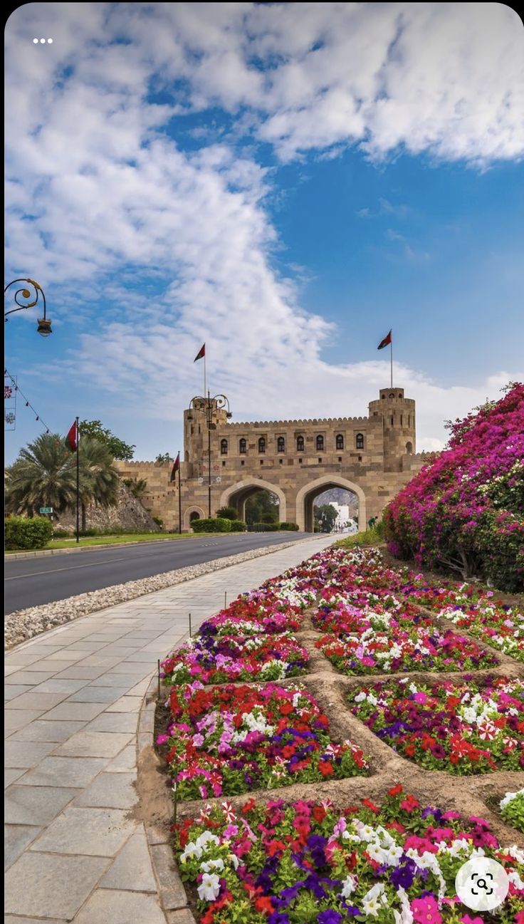 معماری و گل‌های مسقط